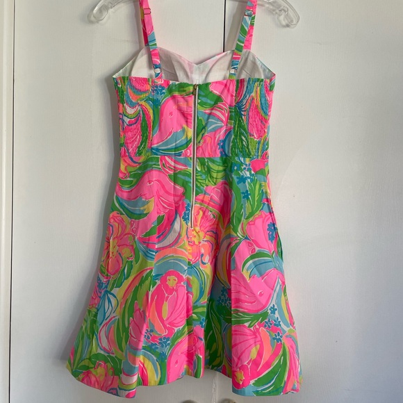 Lilly Pulitzer Dress - Picture 5 of 7